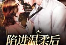完结版《陷进温柔后,他宠上瘾了》免费阅读-有书评
