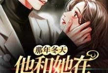 那年冬天,他和她在月光下重逢小说有没有完结版在线?-有书评