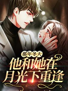 那年冬天，他和她在月光下重逢小说有没有完结版在线？