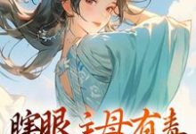 哪里能找到瞎眼主母有毒，不做也罢小说的全部章节？-有书评