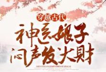 哪里可以免费找到穿越古代，神医娘子闷声发大财？-有书评
