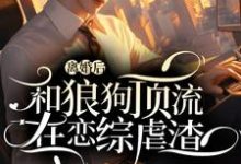 完结版《离婚后和狼狗顶流在恋综虐渣》免费阅读-有书评
