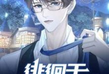 完结版《【ABO】徘徊于黑化的边缘》章节阅读-有书评