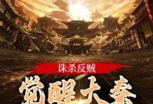 诛杀反贼，觉醒大秦千年气运完整版小说，诛杀反贼，觉醒大秦千年气运最新章节-有书评