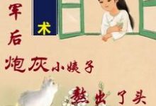 吴妮妮叶泽川小说免费阅读完整版-有书评