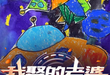 我娶的老婆在过去小说全文哪里可以免费看？-有书评