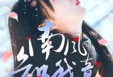 沈南意谢霄北小说《南风知我意,生生盼霄北》在线阅读-有书评