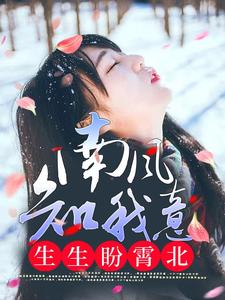 沈南意谢霄北小说《南风知我意，生生盼霄北》在线阅读