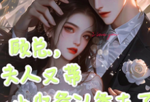 已完结小说《顾总,夫人又带小少爷认爹去了》最新章节-有书评