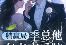 季泊简林乐之小说在线章节免费阅读(躺赢局:季总他有点恋爱脑无弹窗无删减)-有书评