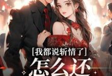 完结版《我都说斩情了，怎么还让我相亲》在线免费阅读-有书评