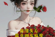 我消失后，霸总彻底疯魔温暖暖花惊殊，我消失后，霸总彻底疯魔在线无弹窗阅读-有书评