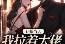 已完结小说《订婚当天,我拉着大佬去领证》在线章节阅读-有书评