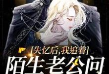 失忆后，我追着陌生老公问相爱过程小说免费资源，失忆后，我追着陌生老公问相爱过程在线阅读-有书评