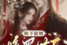 榜下捉婿,腹黑世子你全家又掉马了黎婉铭程立青小说完结版章节在线阅读-有书评