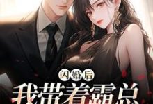 闪婚后,我带着霸总杀回绿茶家黎漾傅晏辞在线章节免费阅读-有书评