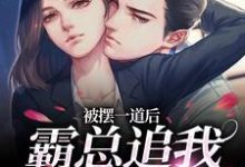 被摆一道后,霸总追我火葬场这本小说在哪里可以看?哪里有免费试读章节?-有书评