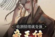 收割情绪就变强，帝王位我先占了小说无弹窗阅读的网站推荐-有书评