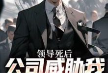 领导死后,公司威胁我污蔑他小说全文阅读需要付费吗?寻找免费资源-有书评