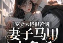 宠妻大佬很苦恼,妻子马甲太多了!秦婠霍霆骁,宠妻大佬很苦恼,妻子马甲太多了!完整版最新章节-有书评
