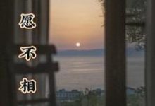 林稚陆景深小说唯愿不相识在线阅读章节-有书评