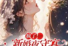 《疯了！新婚夜守寡，疯批亡夫回来了》全集免费在线阅读（苏黎傅念琛）-有书评