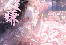 沈轻梨完整版小说免费阅读-有书评