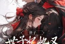 《世子,世子妃她又开始扮可怜了》完整版小说免费阅读-有书评