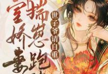 《外室娇妾揣崽跑路，世子爷请自重》施采芙谢凛昭完整版小说免费阅读-有书评