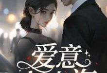 爱意归山海小说最新章节在哪里可以读到？-有书评