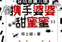 《穿成恶毒儿媳,携手婆婆甜蜜蜜》谢南依宋清秋完整版小说免费阅读-有书评