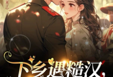 已完结小说《下乡遇糙汉,缘分就来了》章节免费阅读-有书评
