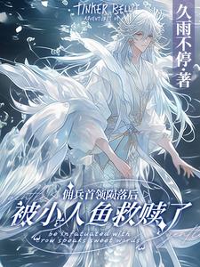 佣兵首领陨落后，被小人鱼救赎了阎凛浔墨星钰，佣兵首领陨落后，被小人鱼救赎了小说免费阅读