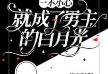 免费看【快穿】一不小心就成了男主的白月光小说的网站有哪些？-有书评