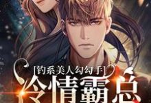 完结版《钓系美人勾勾手,冷情霸总变疯狗》章节阅读-有书评