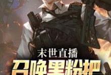 叶宵小说在线章节免费阅读(末世直播:召唤黑粉把国家队招来了无弹窗无删减)-有书评
