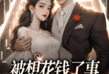 《被想花钱了事,结果我被缠上了》花柒傅九思完整版小说免费阅读-有书评