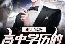 重走官场：高中学历的他青云直上李仕山，重走官场：高中学历的他青云直上章节在线阅读-有书评