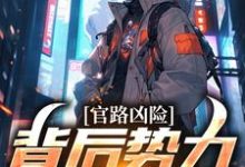 官路凶险，背后势力怎么除小说最新更新在哪里？免费在线看-有书评