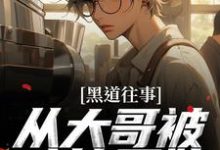 宋雁平小说《黑道往事：从大哥被暗算开始》在线阅读-有书评