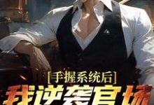 手握系统后,我逆袭官场权势巅峰小说最新章节在哪里可以读到?-有书评