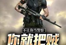 不让你当警察,你就把贼抓光了?小说完结版章节免费阅读-有书评