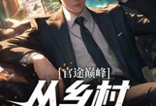 官途巅峰,从乡村书记崛起!小说阅读,官途巅峰,从乡村书记崛起!完结版-有书评