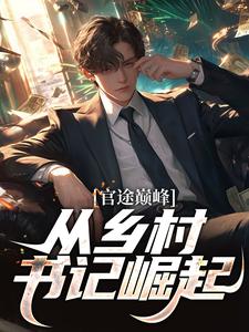 官途巅峰，从乡村书记崛起！小说阅读，官途巅峰，从乡村书记崛起！完结版
