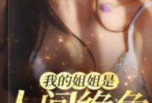 免费在线阅读我的姐姐是人间绝色小说的正规网站有哪些?-有书评