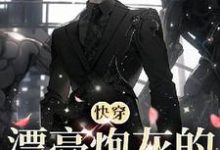 兰池小说免费阅读完整版-有书评