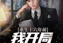 重生十六年前,我开局拯救领导小说有没有完结版在线?-有书评