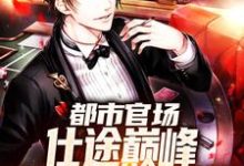 都市官场:仕途巅峰,从公务员开始小说最新章节在哪里可以读到?-有书评