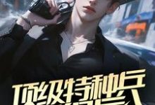 在线寻找顶级特种兵退役后，在官场呼风唤雨小说的无删减版本-有书评