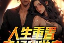 哪里可以免费找到人生重置：官场我做主？-有书评